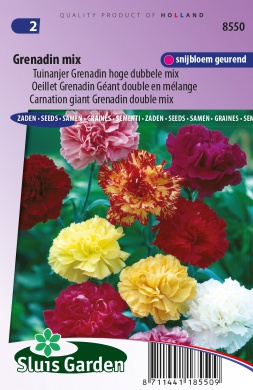Dianthus caryophyllus Grenadin double mix 0,2 g cca 90 semien